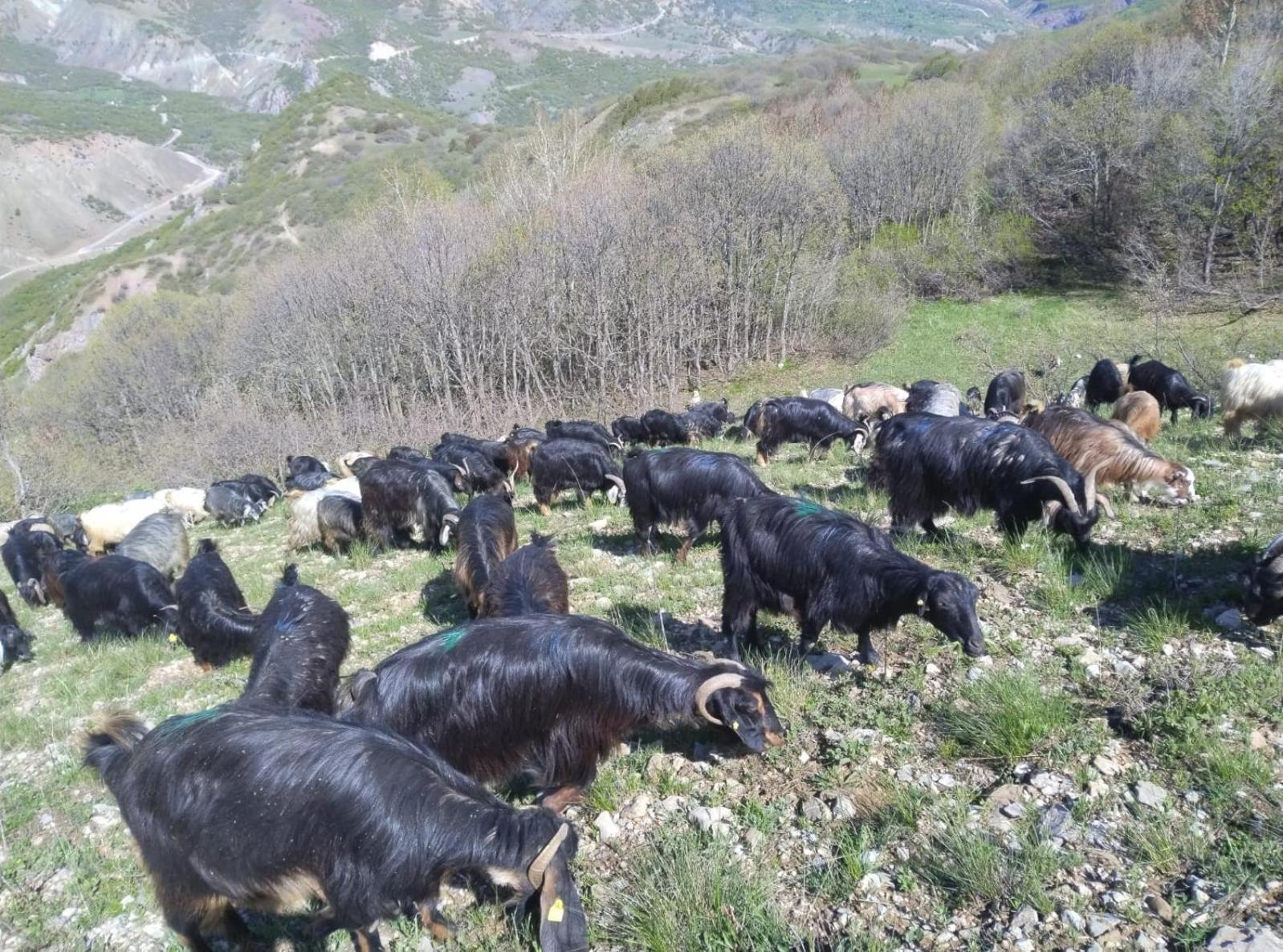 Askireg Hotel Tunceli Exterior photo